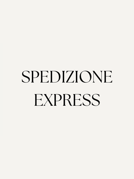 Spedizione Express